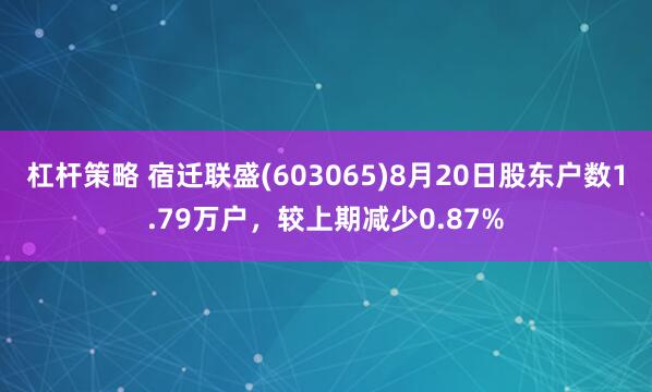 杠杆策略 宿迁联盛(603065)8月20日股东户数1.79万户，较上期减少0.87%